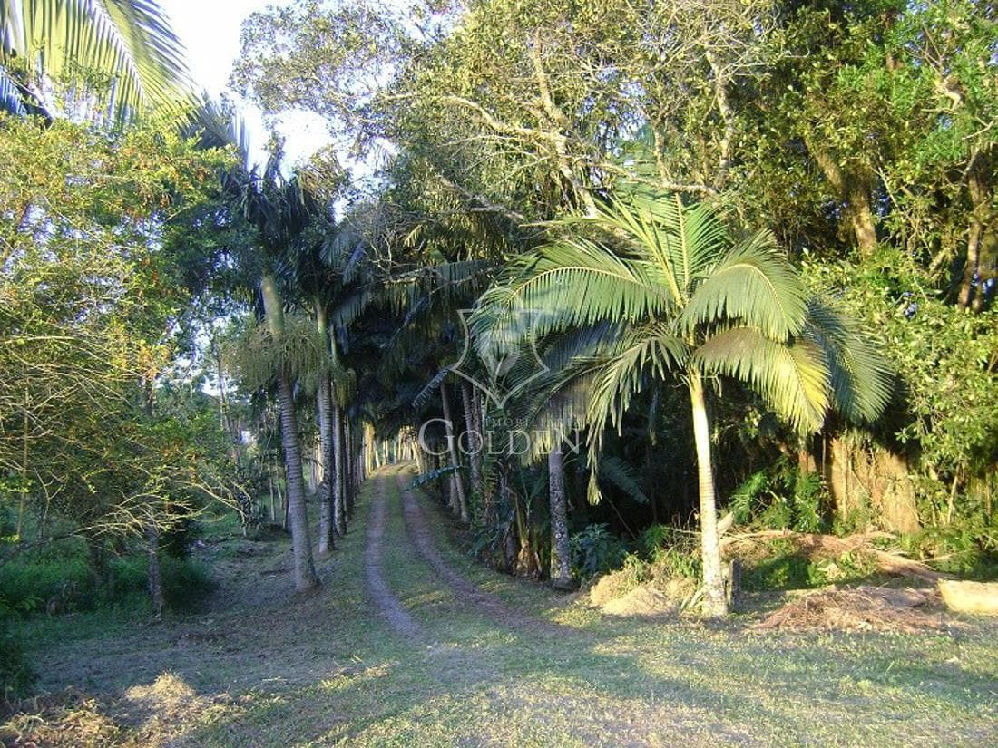 CHACÁRA NO SERTÃO DO TROMBUDO — 2