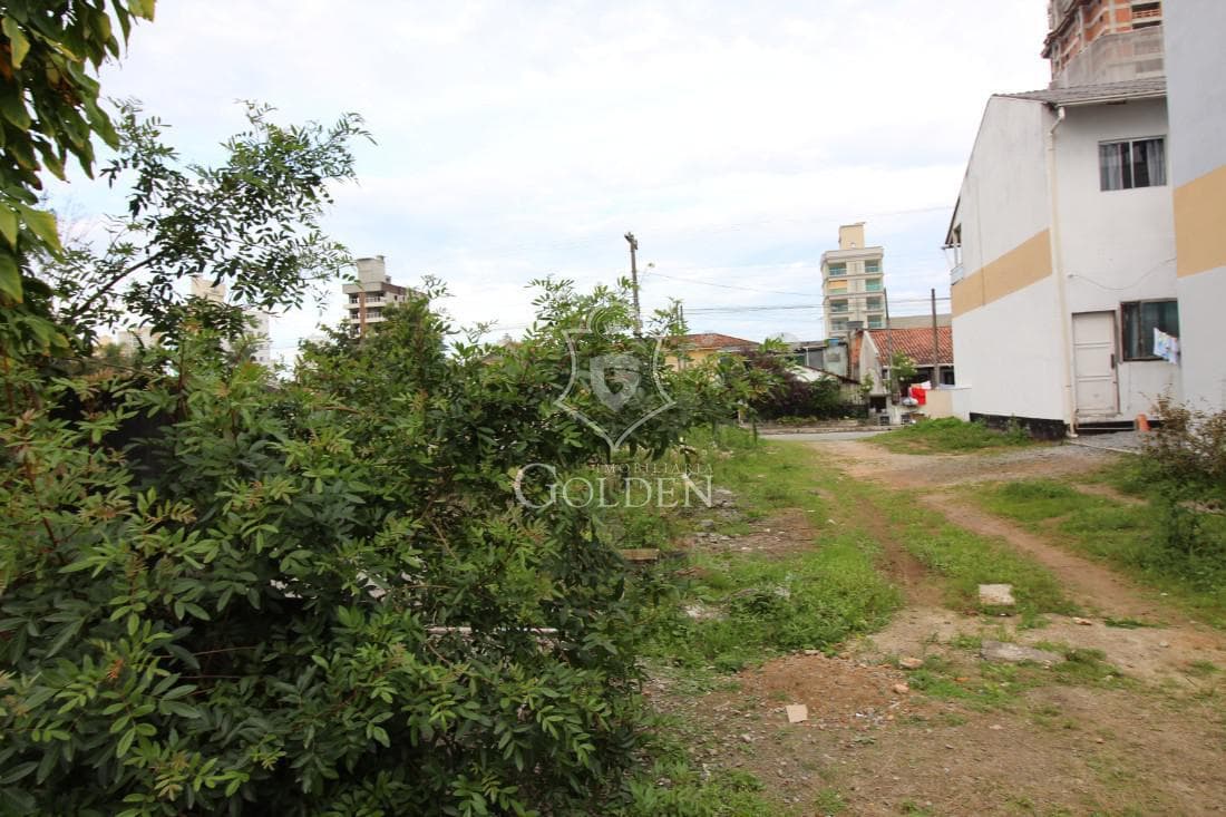 TERRENO EM MEIA PRAIA — 2
