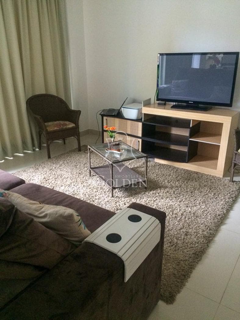 ALDO SILVEIRA — 4